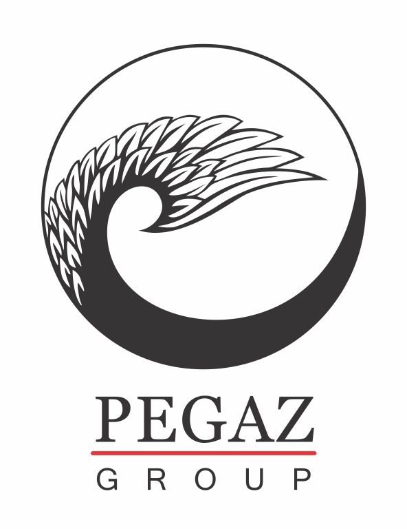 pegaz logo